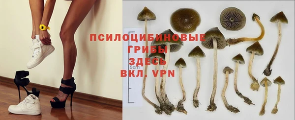 гидра Сафоново