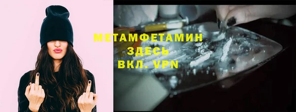 прущие грибы Саяногорск