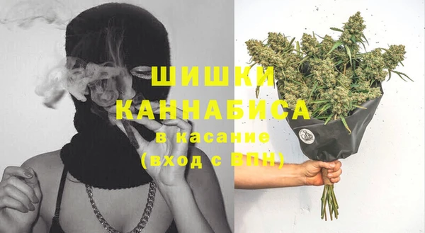 прущие грибы Балабаново